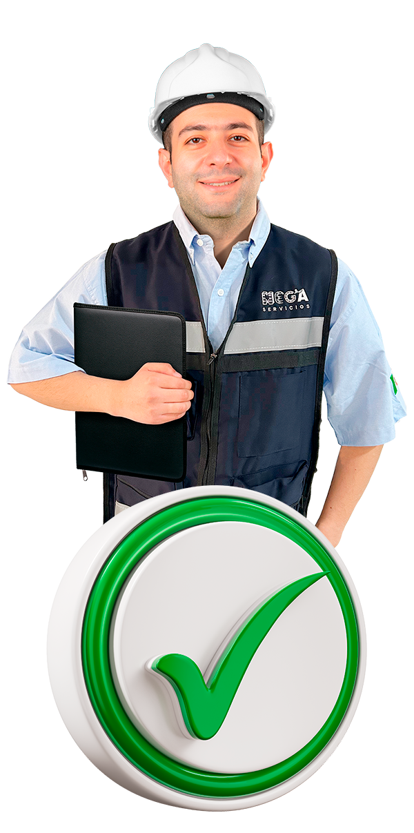 Mega Servicios